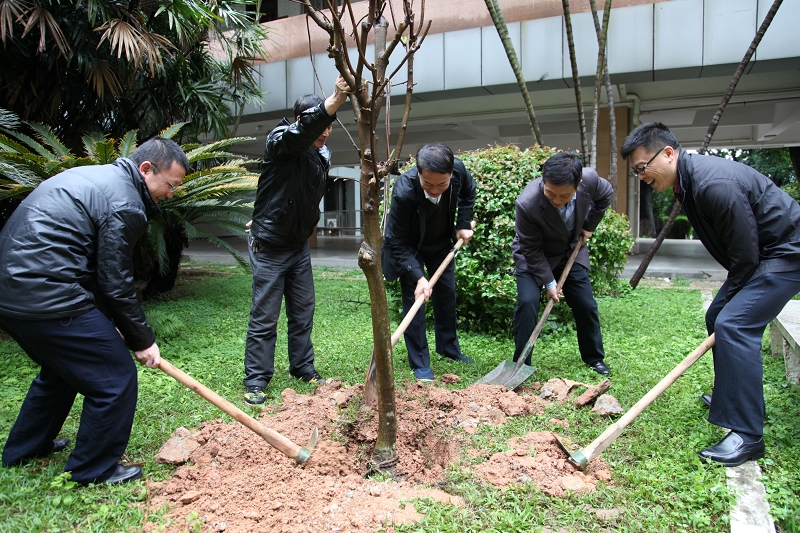 植树网络用图