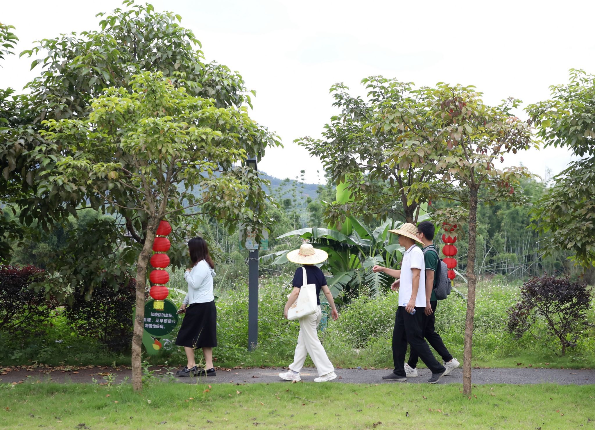 “双百行动”进行时丨文传学院、宣传部服务小分队赴新丰县推动帮扶村农文旅融合发展工作