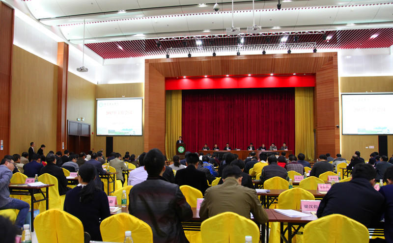 教学会议全景